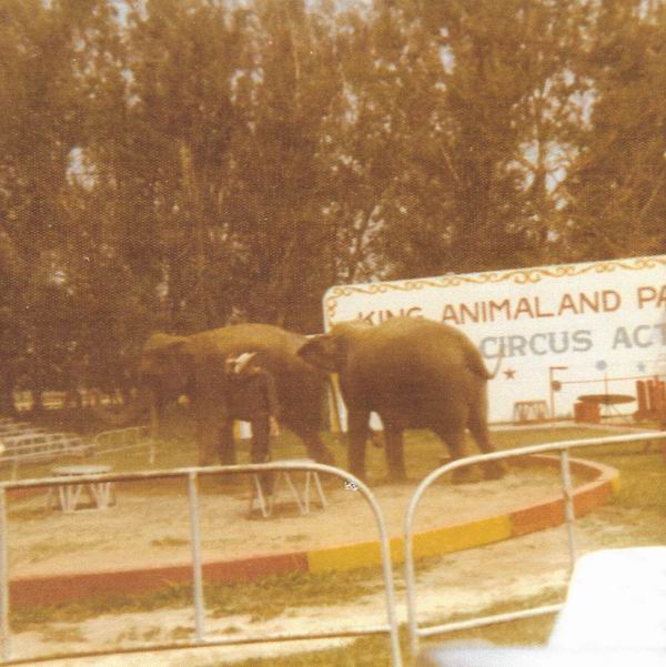 Kings Animaland Park - 1974 Photo From Jeff